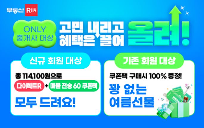 부동산R114가 부동산 중개사를 대상으로 여름 한정 프로모션을 진행한다. 부동산R114 제공