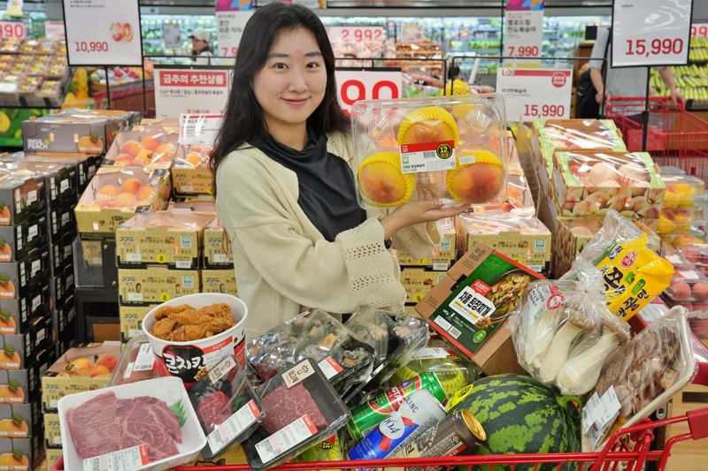 롯데마트가 오는 30일까지 '떠나요 맛캉스' 행사를 진행하는 가운데 모델이 나들이객을 위한 먹거리를 소개하고 있다. 롯데마트 제공