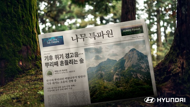 현대자동차, 칸 광고제 3관왕 주인공 AI기반 CSR 홍보 캠페인 ‘나무 특파원’ 공개. 현대자동차 제공