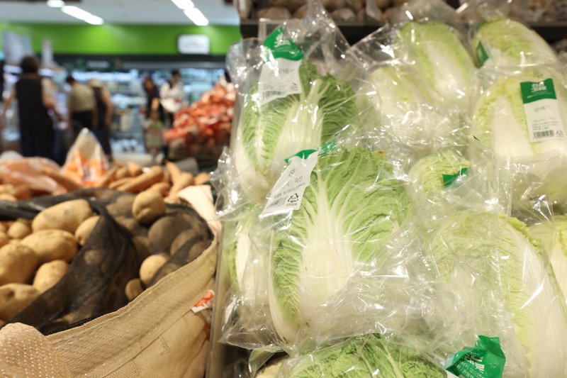 기후변화 영향으로 기록적인 무더위가 이어지면서 농축수산물의 공급 불안이 커지고 있다. 한국농촌경제연구원은 지난 달 중순 이후의 고온으로 여름 배추의 생육이 부진할 우려가 있다고 이달 초 전망했다. 28일 서울 한 대형마트에 배추가 진열돼 있다. 연합뉴스