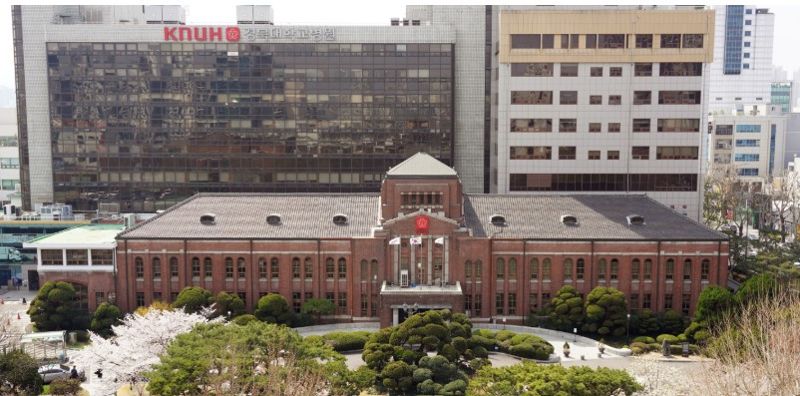 경북대병원 전경. <span id='_stock_code_317690' data-stockcode='317690'>퀀타매트릭스</span> 제공