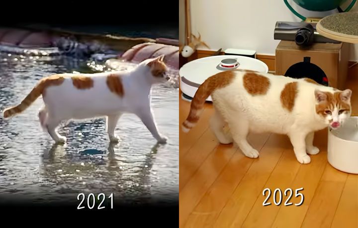 /사진=유튜브 채널 ‘5275 오이칠오’ 캡처