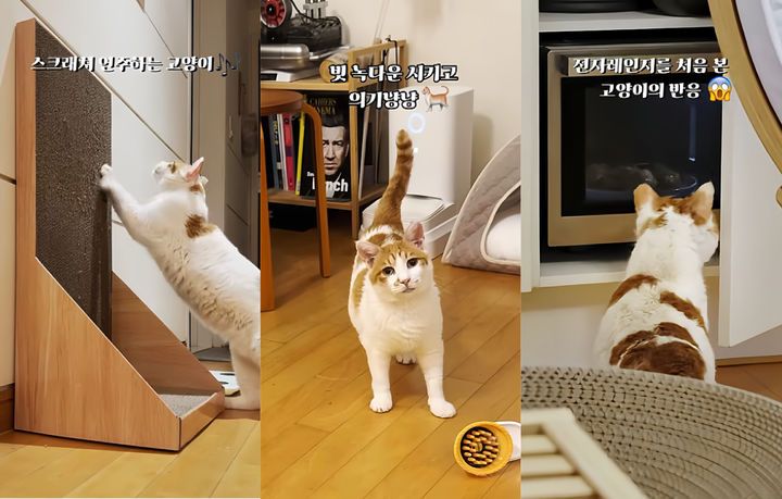 /사진=유튜브 채널 ‘5275 오이칠오’ 캡처