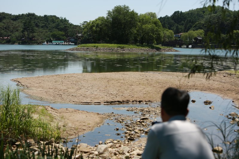 10일 마른 장마와 폭염 등으로 바닥을 드러낸 충북 제천 의림지에서 한 시민이 순주섬을 바라보고 있다. 뉴스1