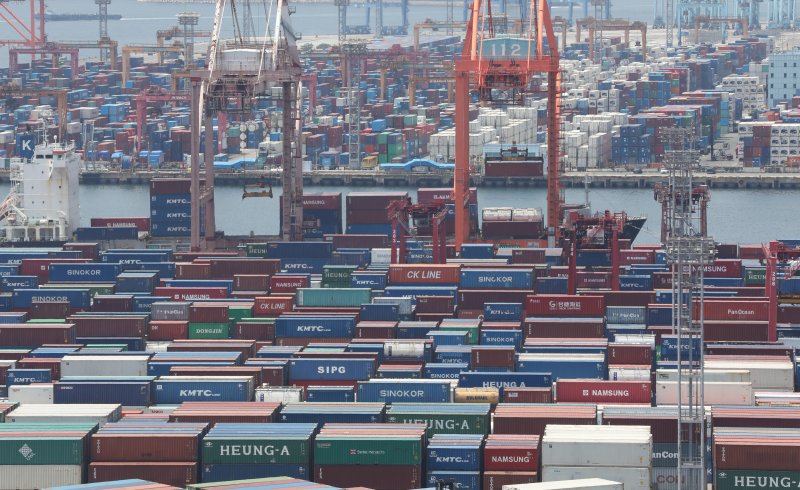 부산항 신선대부두와 감만부두 야적장에 컨테이너가 가득 쌓여 있다. /사진=뉴스1