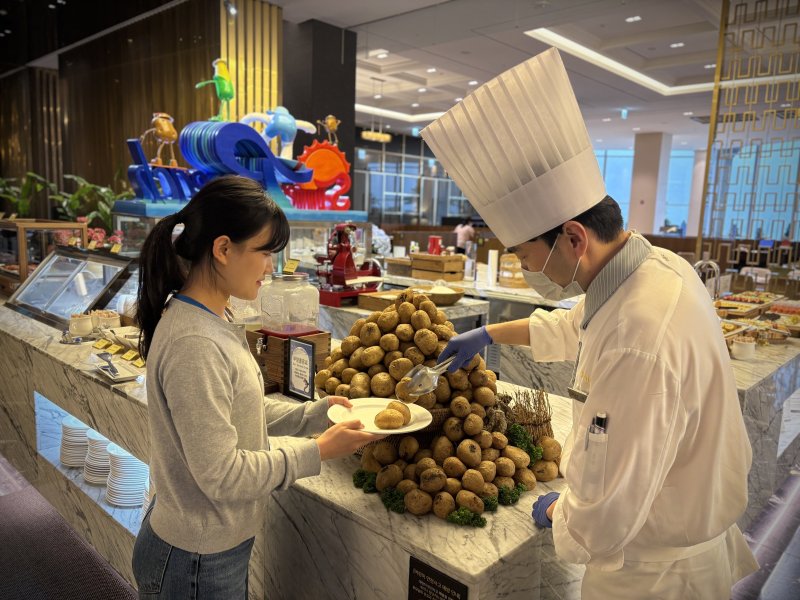 하이원리조트에서 진행하는 지역 감자 상생 프로젝트. 강원랜드 제공