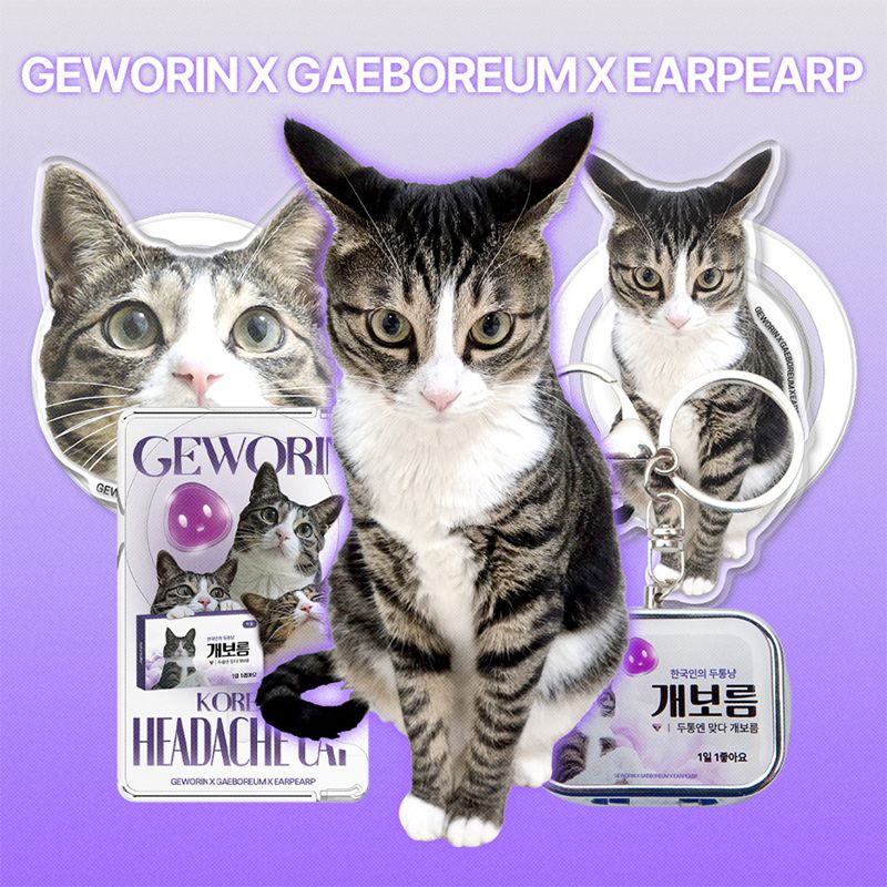 게보린 앰버서더 '개보름' 굿즈. <span id='_stock_code_005500' data-stockcode='005500'>삼진제약</span> 제공