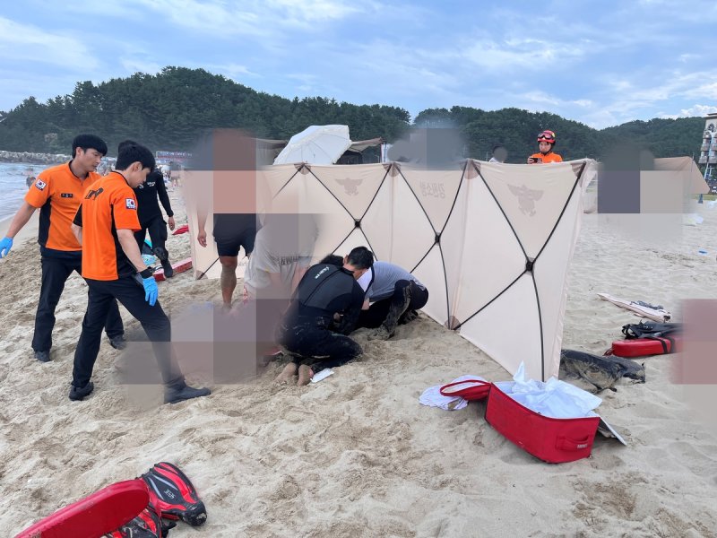 (출처=연합뉴스)