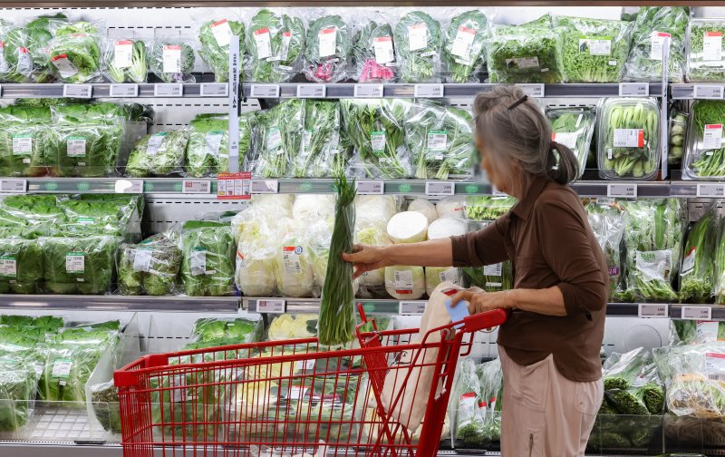 자료사진.뉴시스