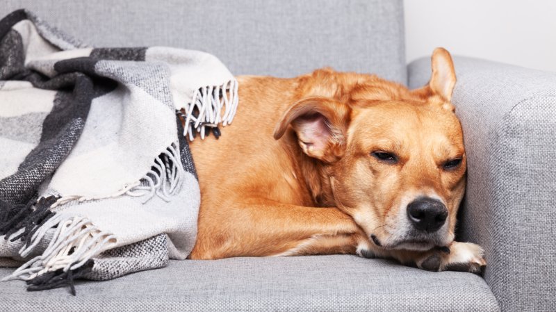 게티이미지뱅크