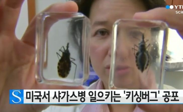 <span id='_stock_code_040300' data-stockcode='040300'>YTN</span>