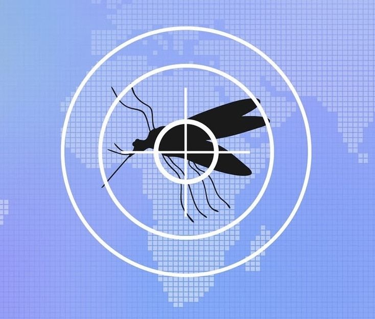 "아이 '모기 팔찌' 항상 챙겼는데"..모기기피제, 