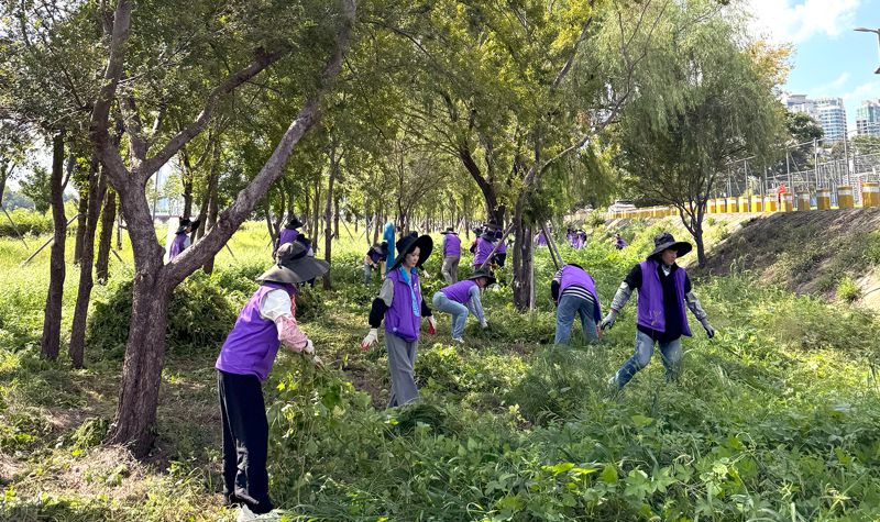 서울 이촌한강공원 일대에서 생태계 교란 식물 제거 활동 중인 <span id='_stock_code_102260' data-stockcode='102260'>동성케미컬</span> 임직원. 동성케미컬 제공