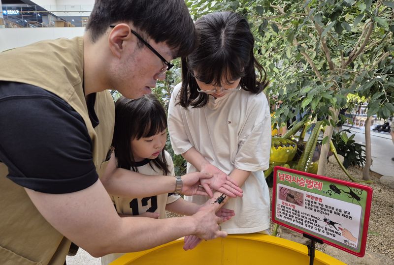 롯데몰 동부산점 여주곤충박물관 팝업스토어 현장에서 곤충 전문가와 함께하는 체험에 참여한 어린이들이 넓적사슴벌레를 팔 위에 올려 살펴보고 있다. <span id='_stock_code_023530' data-stockcode='023530'>롯데쇼핑</span> 제공 