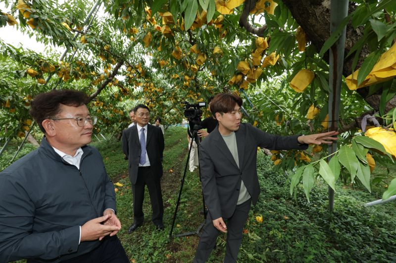 이승돈 농촌진흥청장은 18일 경북 영천시 대창면 복숭아 농장에서 청년농을 만나고 있다. 농진청 제공