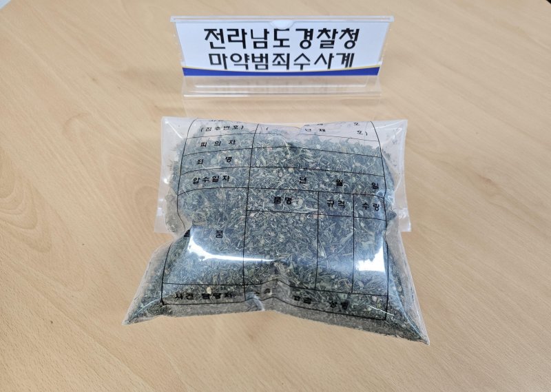 경찰이 마약 사범으로부터 압수한 대마. (사진=전남경찰청 제공) 2025.09.09. /사진=뉴시스