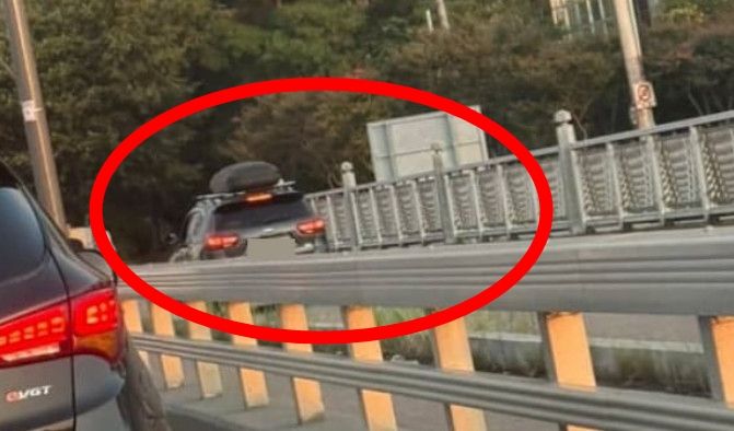 한 SUV 차량이 교량 인도를 달리고 있다. /'보배드림' 인스타그램