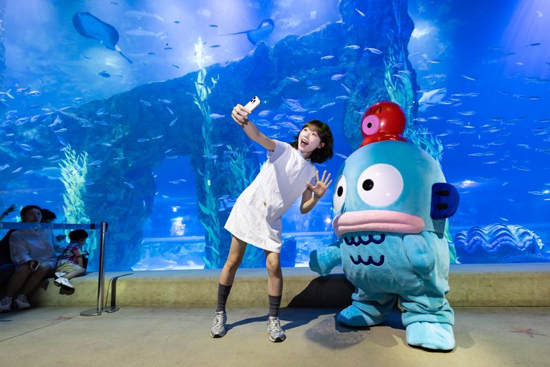 롯데월드 아쿠아리움 '한교동 라이브캐릭터 그리팅'