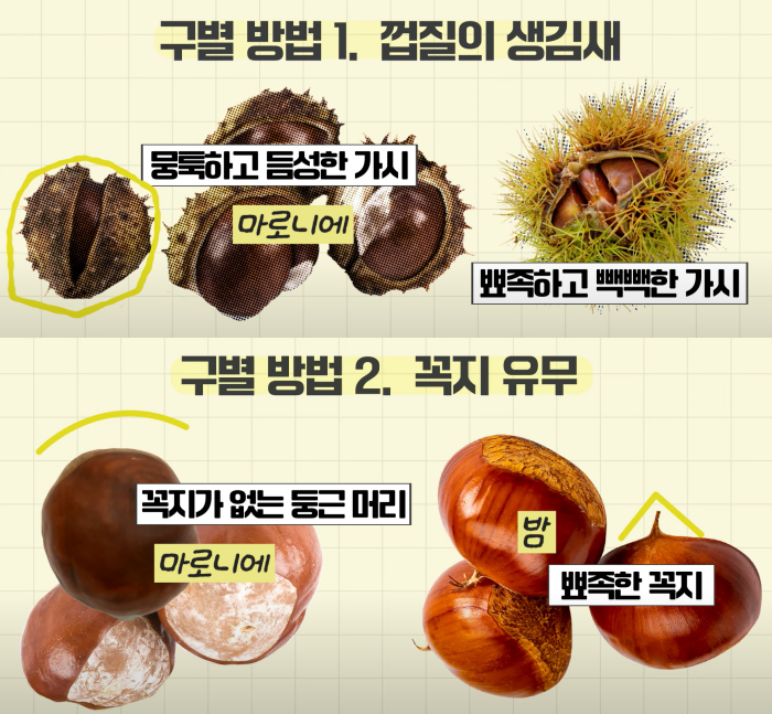 /사진=식품의약품안전처 SNS 갈무리