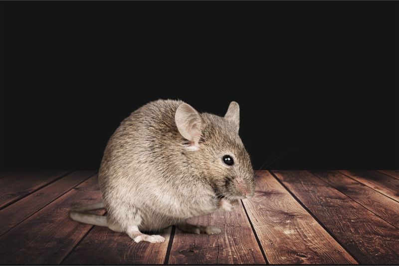 사진&#x3D;게티이미지뱅크