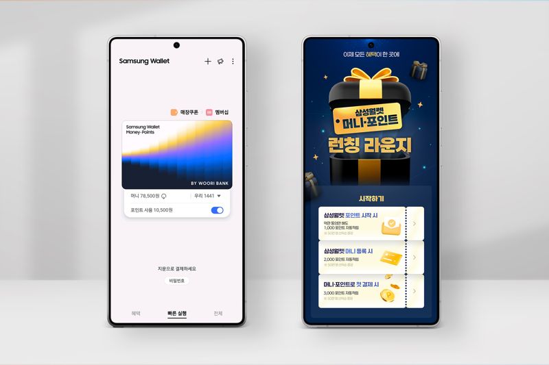 삼성월렛 머니·포인트 이미지. <span id='_stock_code_005930' data-stockcode='005930'>삼성전자</span> 제공