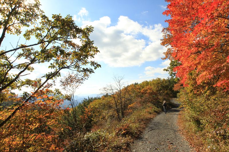 하이원리조트 운탄고도 가을 풍경. 강원랜드 제공
