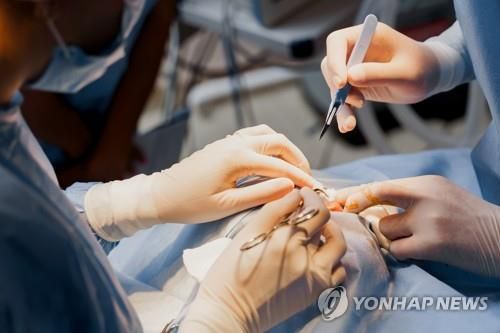 /사진=연합뉴스