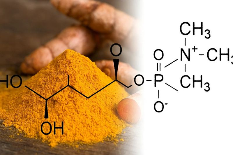 강황추출물. <span id='_stock_code_314140' data-stockcode='314140'>알피바이오</span> 제공