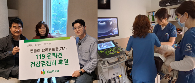 지난 9일 서울시 강남구 동물병원에서 설채현 수의사가 119은퇴견 다솔이에 대한 건강검진을 진행하고 기념촬영을 하고 있다. <span id='_stock_code_005830' data-stockcode='005830'>DB손해보험</span> 제공