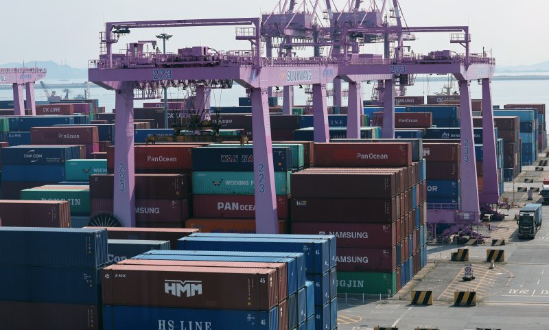 인천신항 컨테이너 터미널에 수출입 컨테이너가 쌓여 있는 모습. 뉴스1