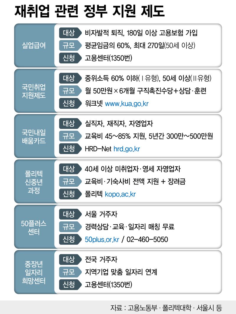 취업 관련 정부 지원 제도 /그래픽=정기현 기자