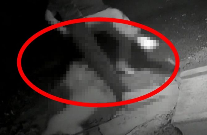 반갑다고 꼬리 흔드는 개를 마구잡이로 공격하는 한 남성의 모습이 포착됐다. /사진=JTBC '사건반장' 방송 화면