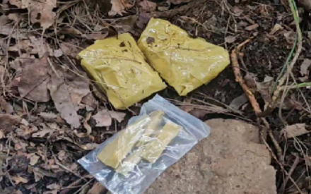 A씨의 조직은 경기도 야산에 마약을 묻어 경찰과 감시카메라 등의 추적을 피했다. 서울경찰청 제공