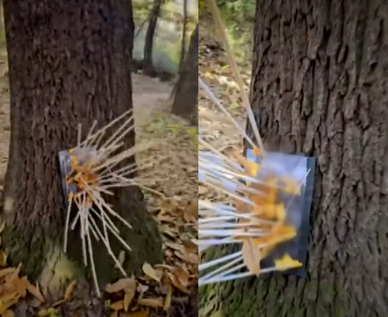 &#x2F;사진&#x3D;JTBC 사건반장 갈무리