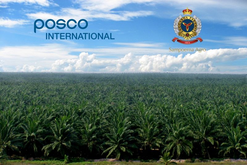 <span id='_stock_code_047050' data-stockcode='047050'>포스코인터내셔널</span>이 인수한 인도네시아 삼푸르나 아그로 팜 농장 전경. 포스코인터내셔널 제공
