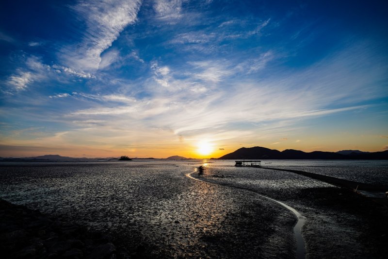 '세계유산축전'이 열린 순천만 습지. 사진=뉴시스