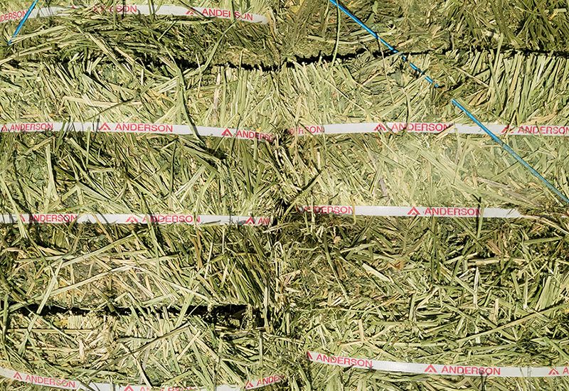 <span id='_stock_code_011810' data-stockcode='011810'>STX</span>가 트롤리고를 통해 국내에 유통하는 조사료. STX 제공