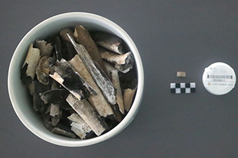 지난 2001년 4월 경상북도 경주시 안강읍 일대에서 발굴한 국군 제7사단 3연대 소속의 고(故) 서갑출 일병의 유해. 국유단 제공