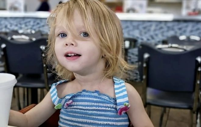 미국에서 영양실조 상태였던 반려견이 두 살 여아를 물어 숨지게 한 사건이 발생했다. 고펀드미 캡처