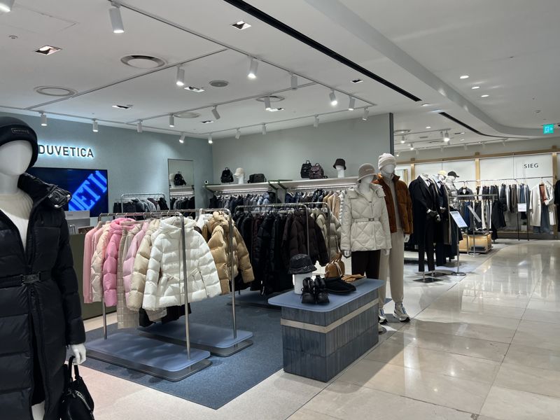 16일 서울 서대문구 현대백화점 신촌점 6층에 프리미엄 브랜드의 패딩이 진열돼 있다. 사진=김현지 기자