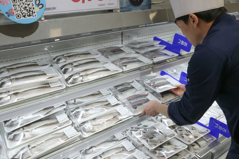 이마트 매장에서 직원이 고등어를 진열하고 있다. 이마트 제공