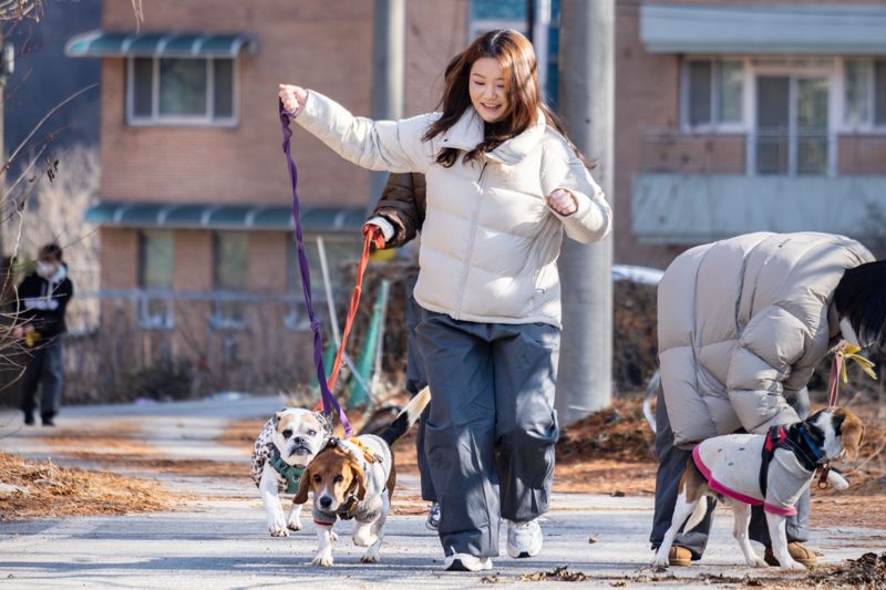 비글구조네트워크 유기견 봉사활동. <span id='_stock_code_002320' data-stockcode='002320'>한진</span> 제공