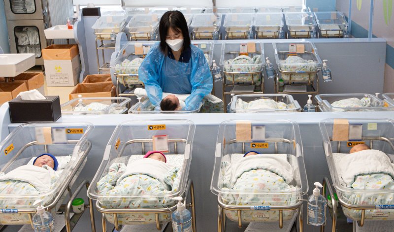 경기도 고양시 일산동구 일산차병원 신생아실의 모습사진=뉴스1